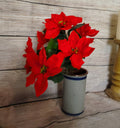 16" Medium Poinsettia Bush