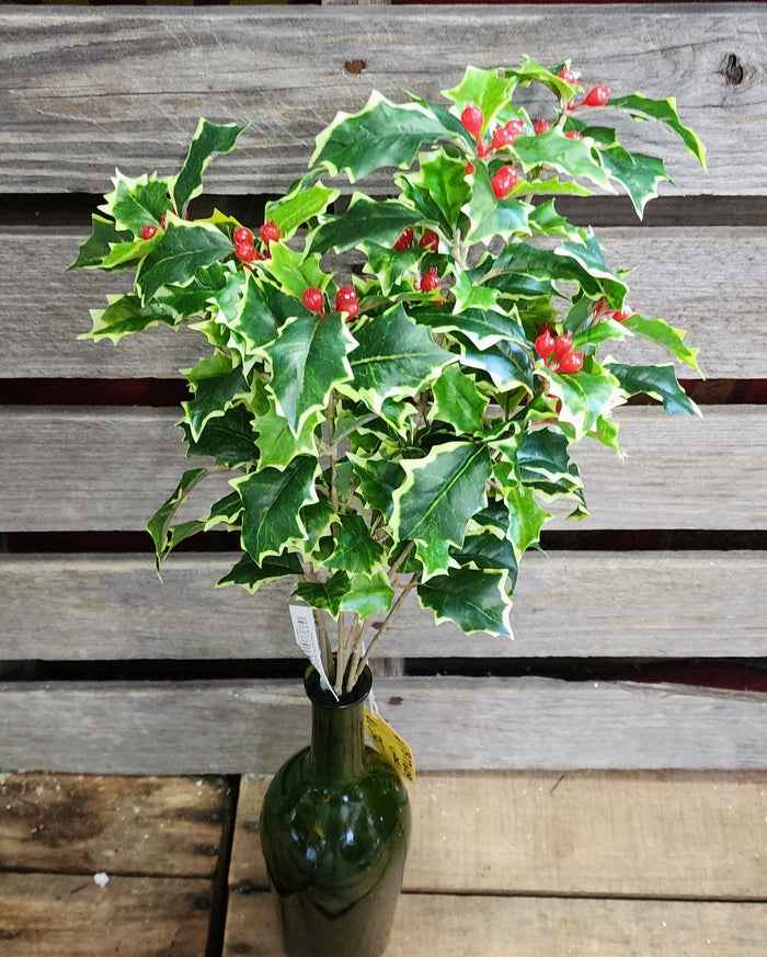19" Faux Varigated Holly Bush