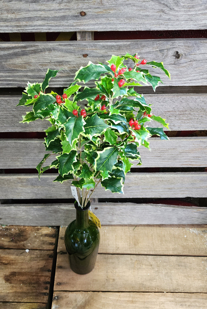 19" Faux Varigated Holly Bush