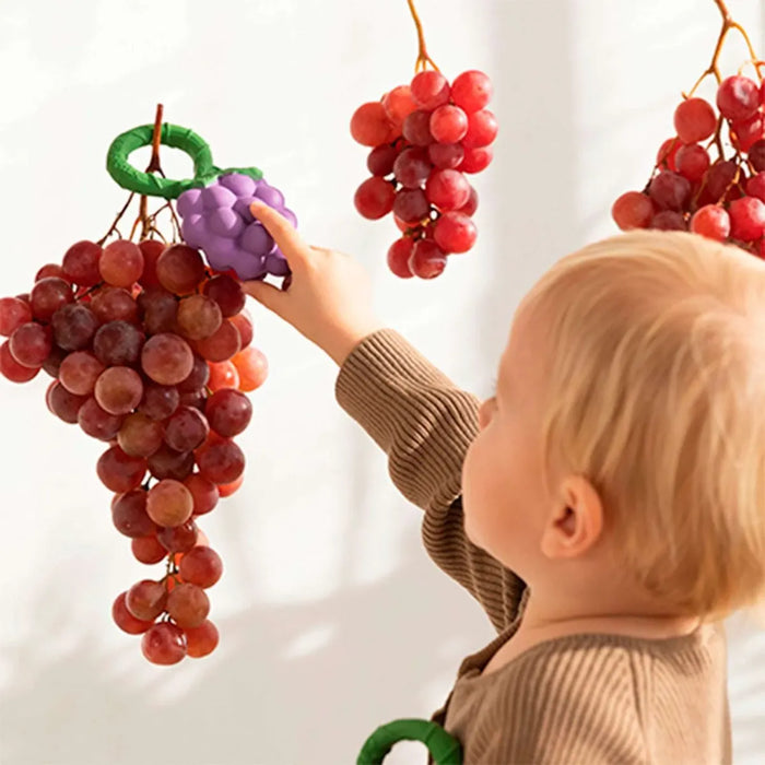 2 in 1 Bijtring & Rammelaar - GRAPES