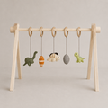 ACTIVITY TOY SET (5 stk) - DINO'S