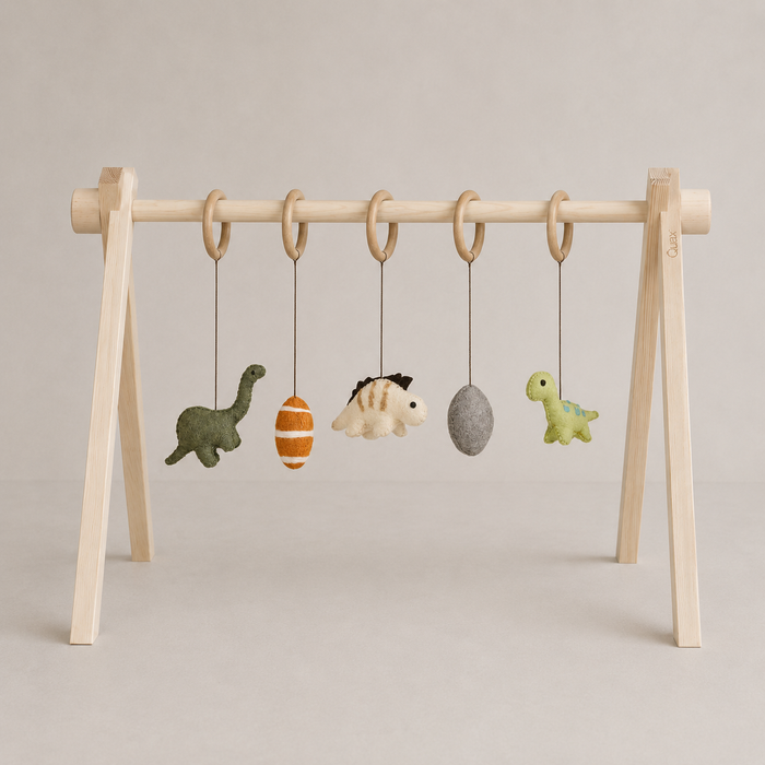 ACTIVITY TOY SET (5 stk) - DINO'S