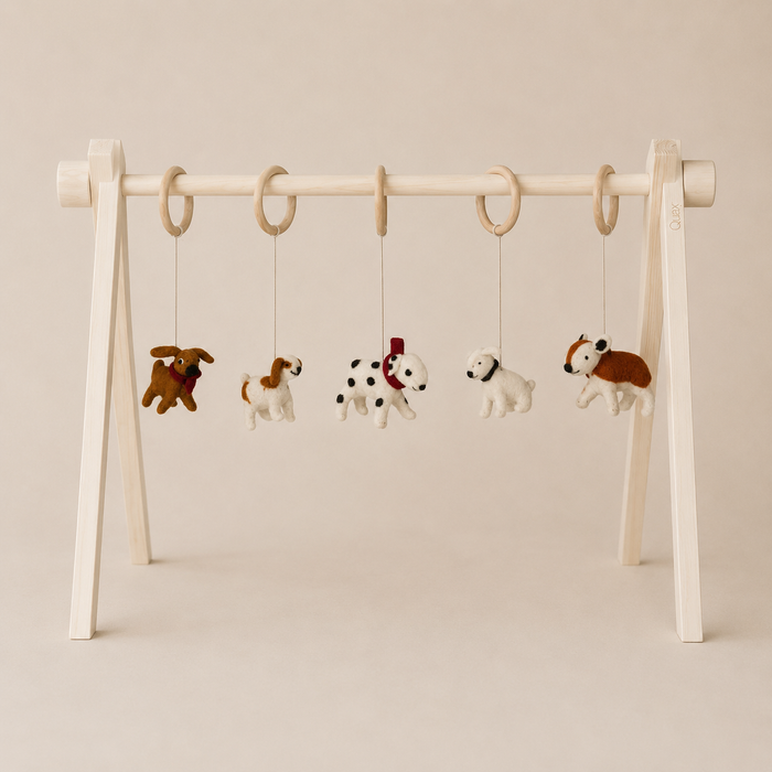 ACTIVITY TOY SET (5 stk) - dogs