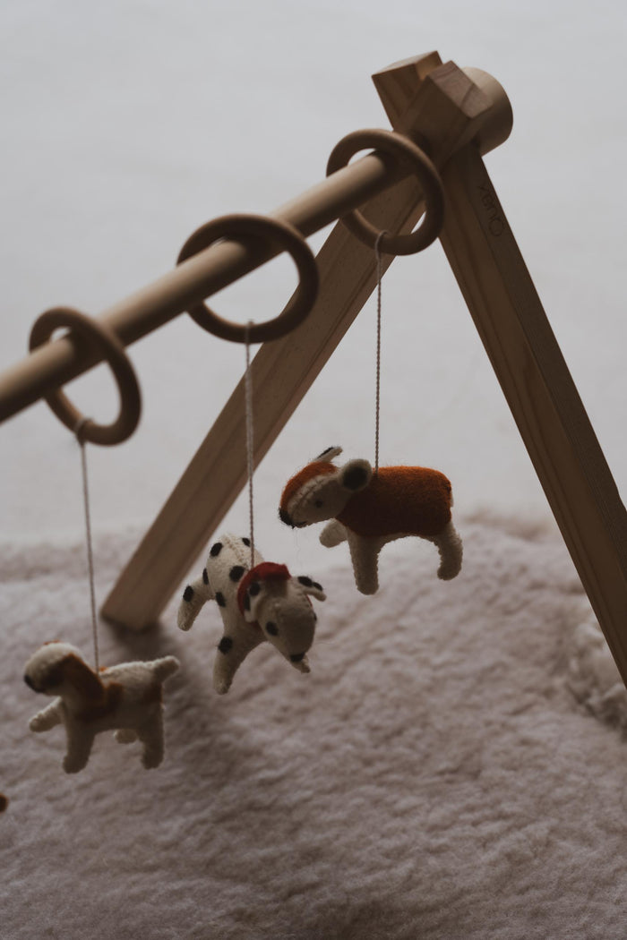 ACTIVITY TOY SET (5 stk) - dogs