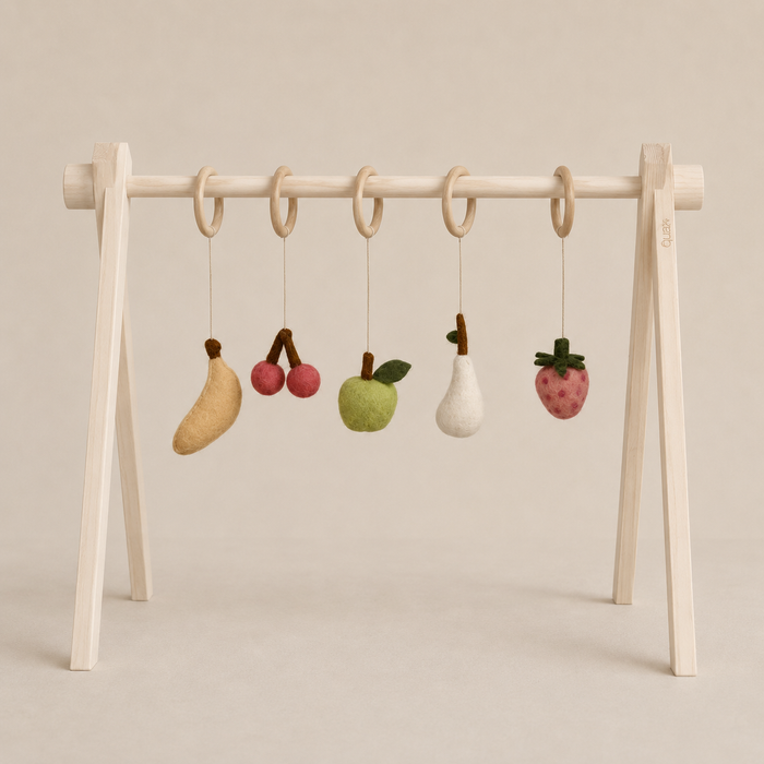 ACTIVITY TOY SET (5 stk) - fruit