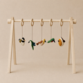 ACTIVITY TOY SET (5 stk) - vogels