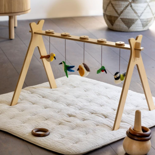 ACTIVITY TOY SET (5 stk) - vogels