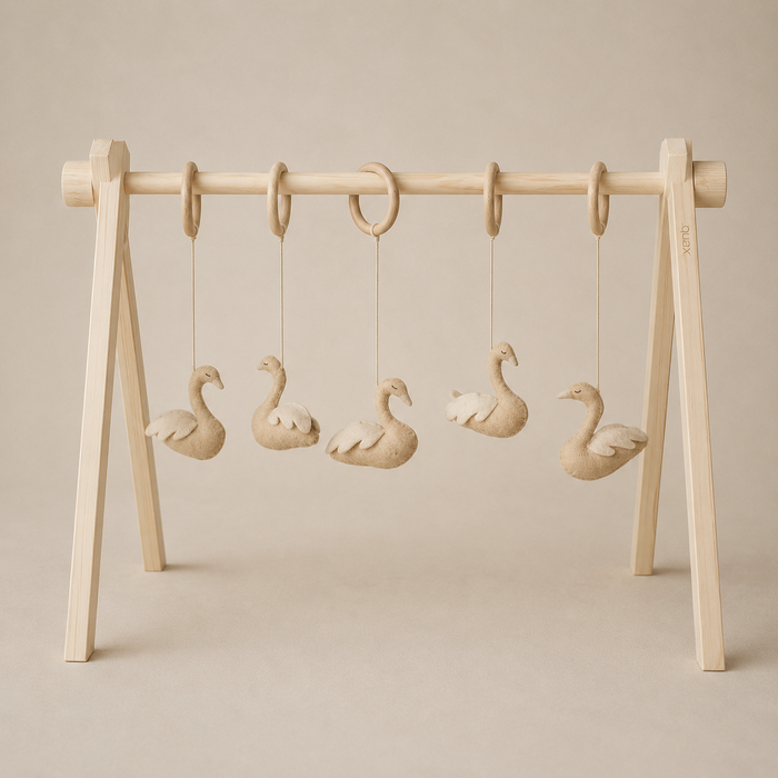 ACTIVITY TOY SET (5 stk) - zwaan