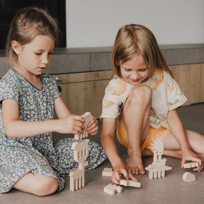 ANIMAL BALANCE TOYS