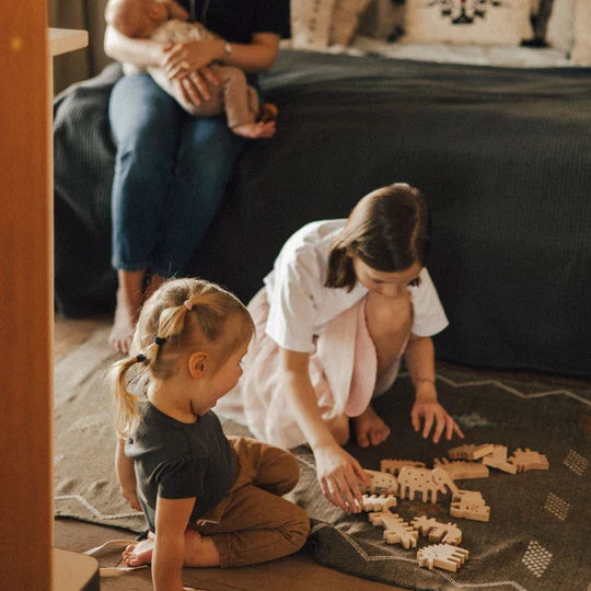 ANIMAL BALANCE TOYS