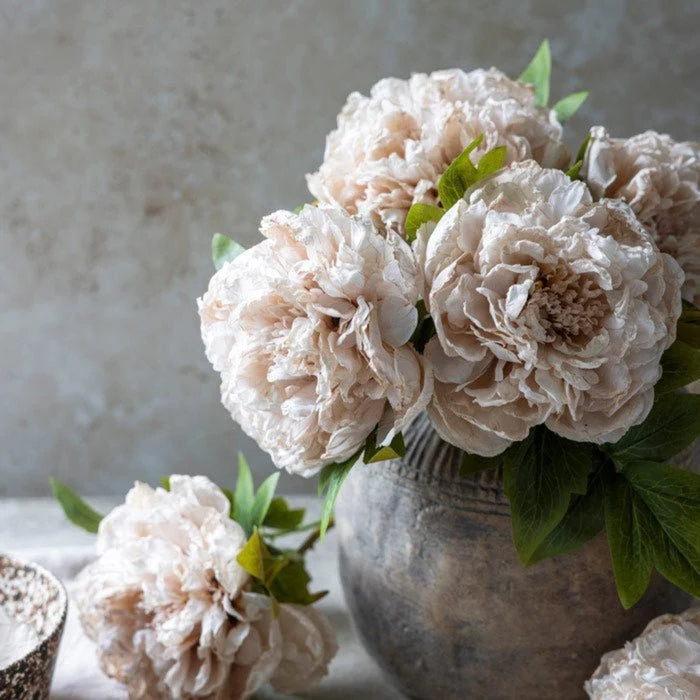 Artificial Evening Dew Peony | Abigail Ahern