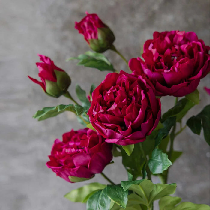 Artificial Real Touch Peony | Abigail Ahern