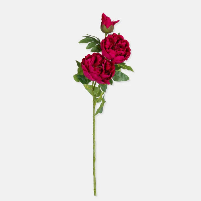 Artificial Real Touch Peony | Abigail Ahern