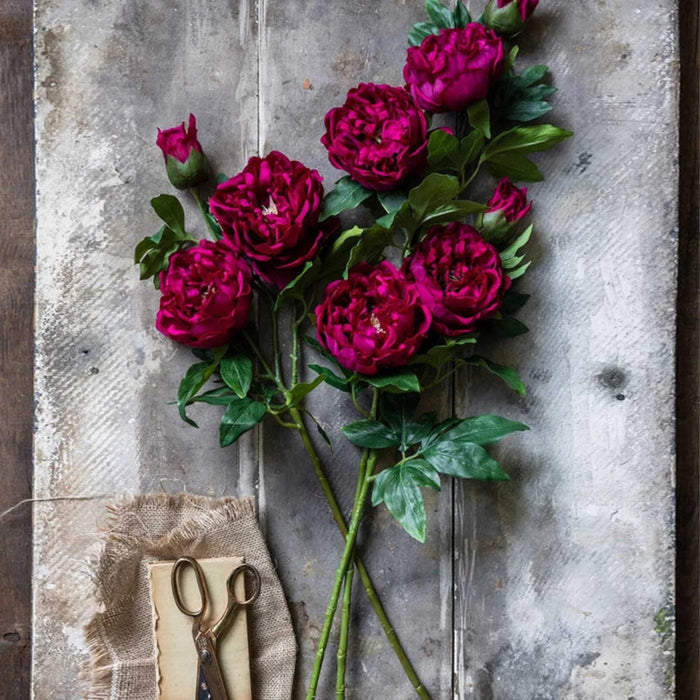 Artificial Real Touch Peony | Abigail Ahern