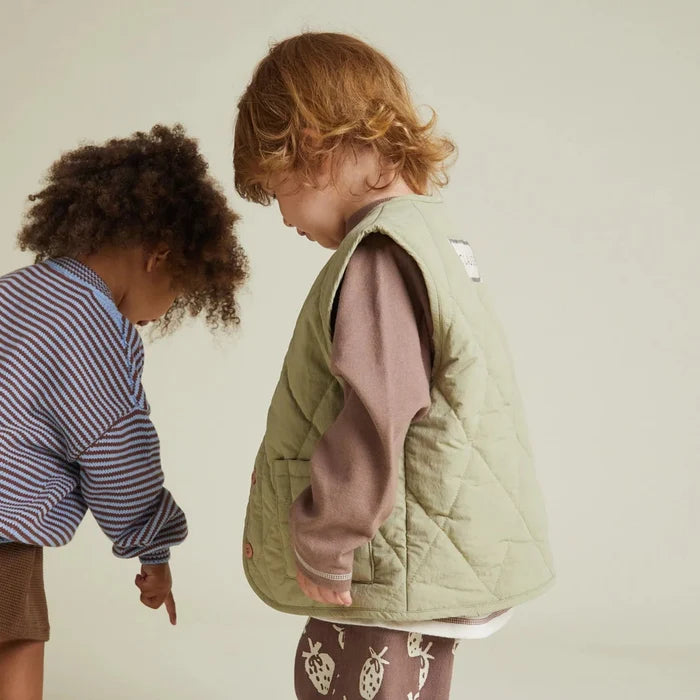 Aster Sage Gilet