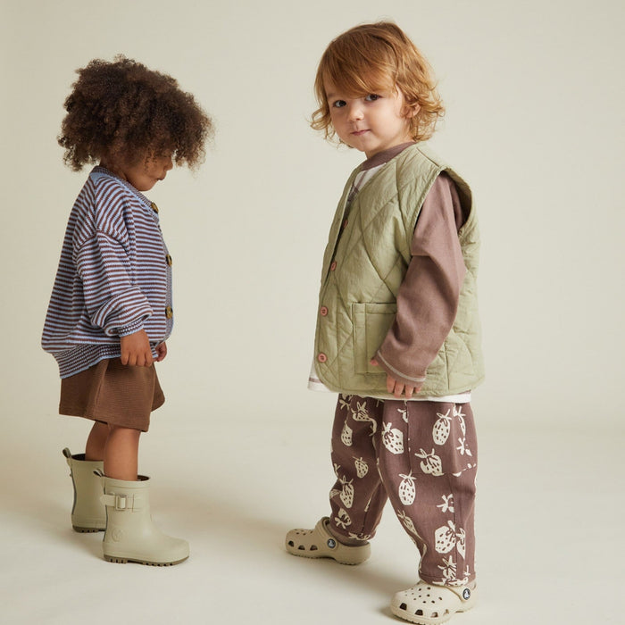 Aster Sage Gilet