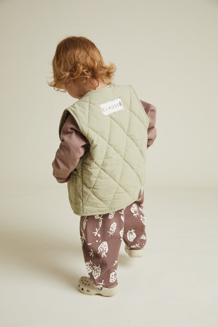 Aster Sage Gilet