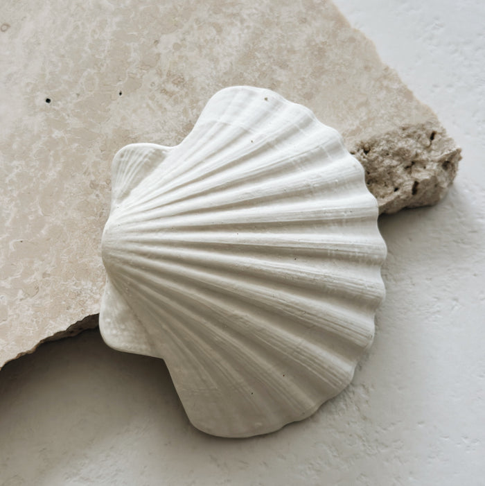 BIJTSPEELTJE SCHELP PLAT