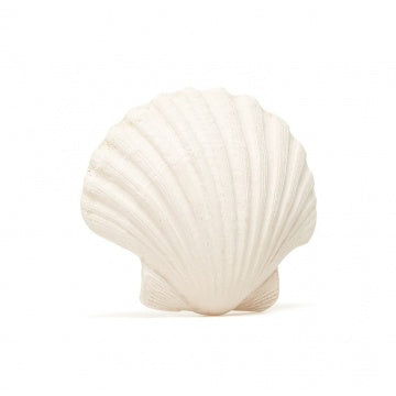 BIJTSPEELTJE SCHELP PLAT