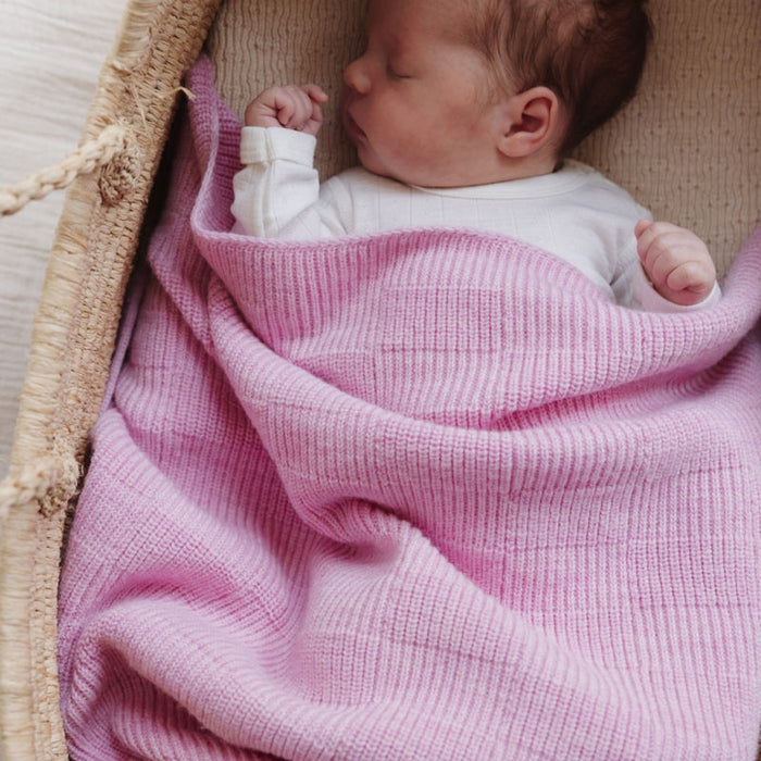 Blanket ivy - Cotton candy