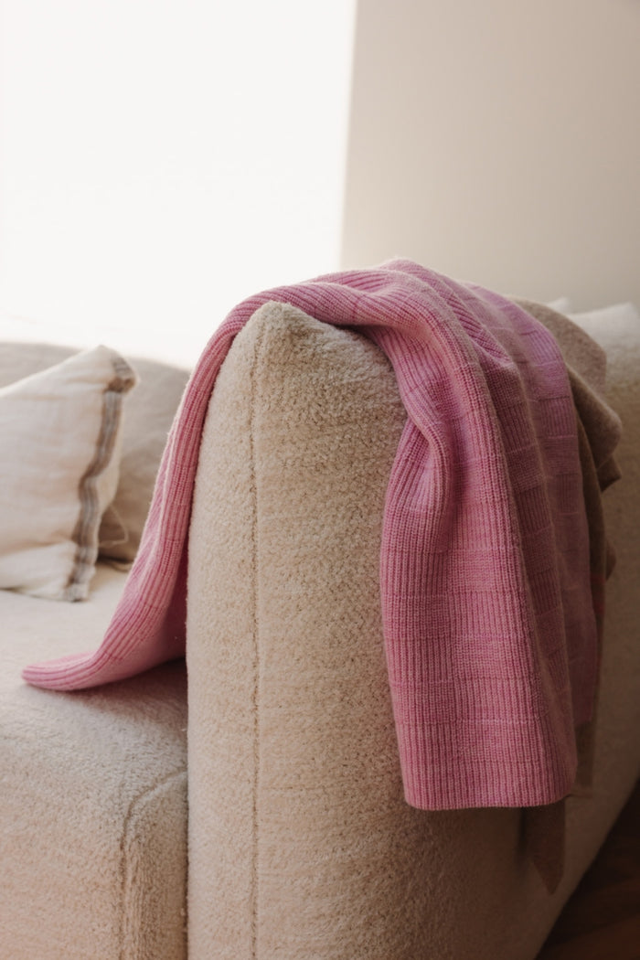 Blanket ivy - Cotton candy