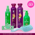 Blonde Hair TLC Bundle - Give Me Cosmetics