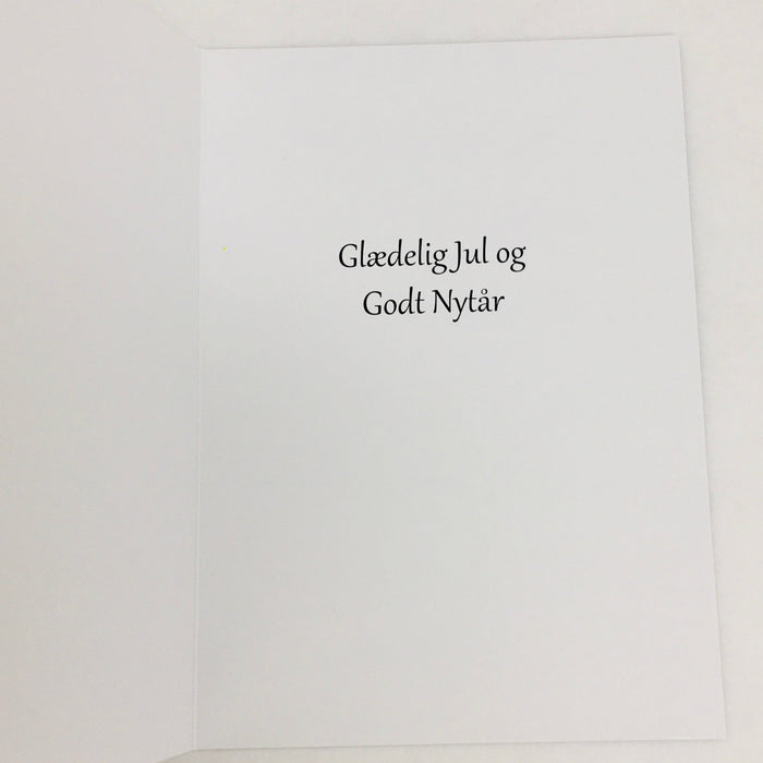 Danish Text