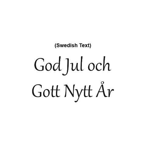 Swedish Text