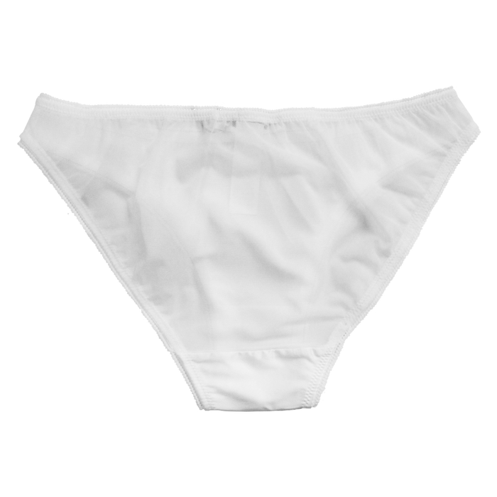 Brie Brief (2 colors) | Silver Lining Lingerie