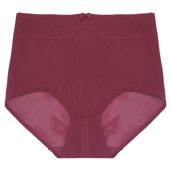 Callie High Waisted Briefs | Silver Lining Lingerie