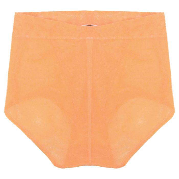 Callie High Waisted Briefs | Silver Lining Lingerie