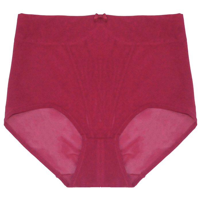 Callie High Waisted Briefs | Silver Lining Lingerie