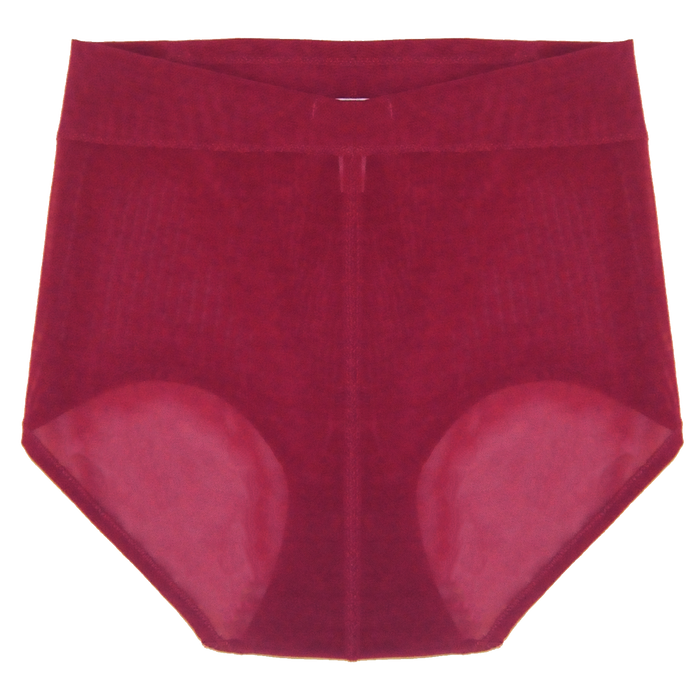 Callie High Waisted Briefs | Silver Lining Lingerie