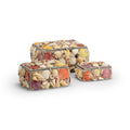 Colorful Shell Boxes (Set of 3)