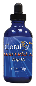 Coral Rx Pro Concentrated Coral Dip - 1 oz