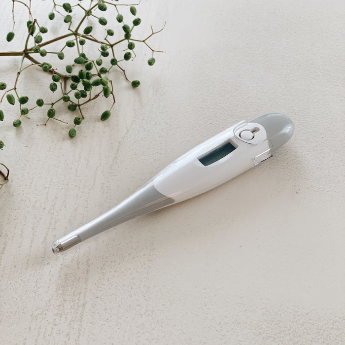 DIGITALE THERMOMETER