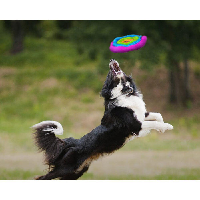 Dog Toy - Duraplush Flyer (Assorted) by Cycle Dog