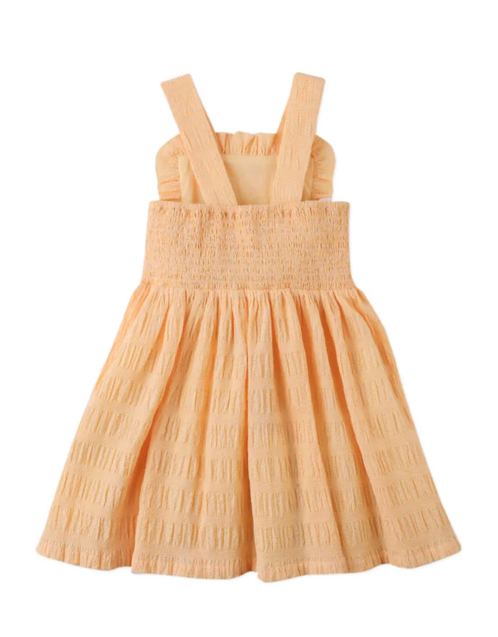 Emily Ruffled Apron Dress with Botanical Embroidery