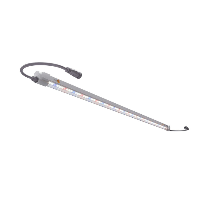Gavita LED Clone Bar