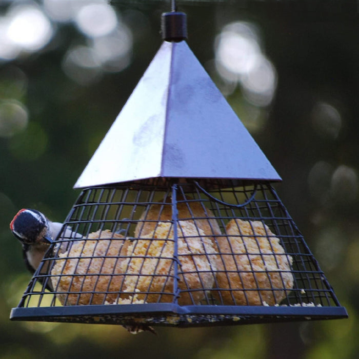 Geo Pyramid Suet Ball Bird Feeder