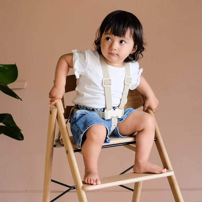 Harnas - Klapp high chair