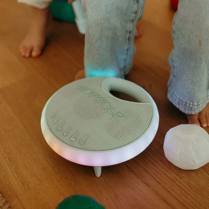KIDYKARAOKE - karaoke luidspreker met 2 microfoons