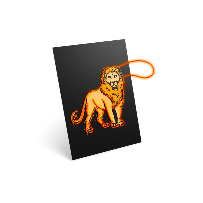 KIDYNEON Creatieve Neon Set – Dieren
