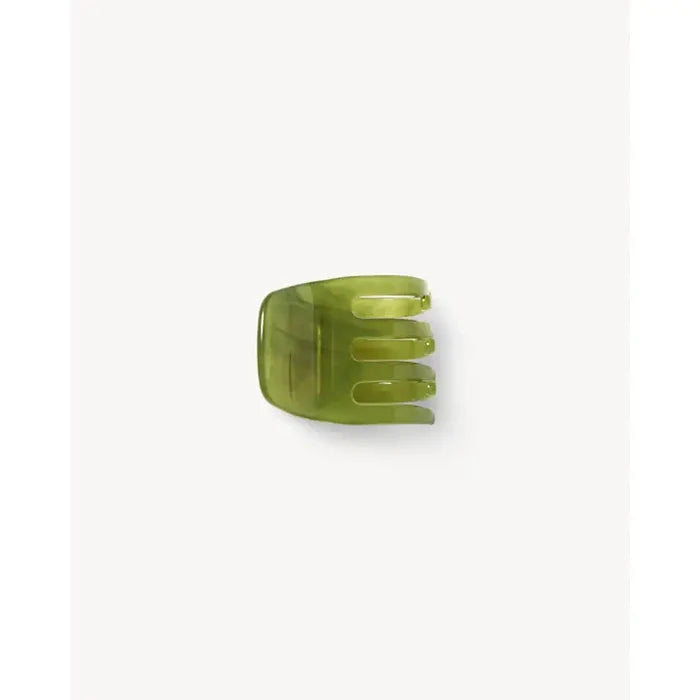 Algae
