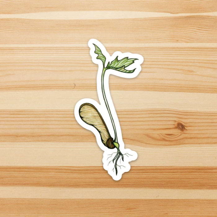 PinkPolish Design Stickers "Maple Tree Sprout" Vinyl Die Cut Sticker