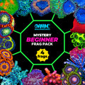 Mystery 4 Pack Beginner Corals