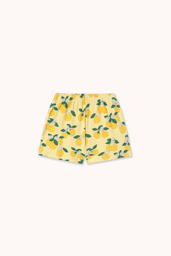 Oranges Rib Short - KIDS