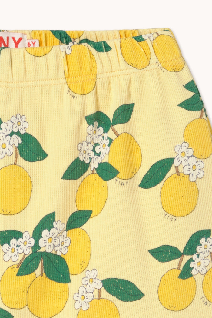 Oranges Rib Short - KIDS