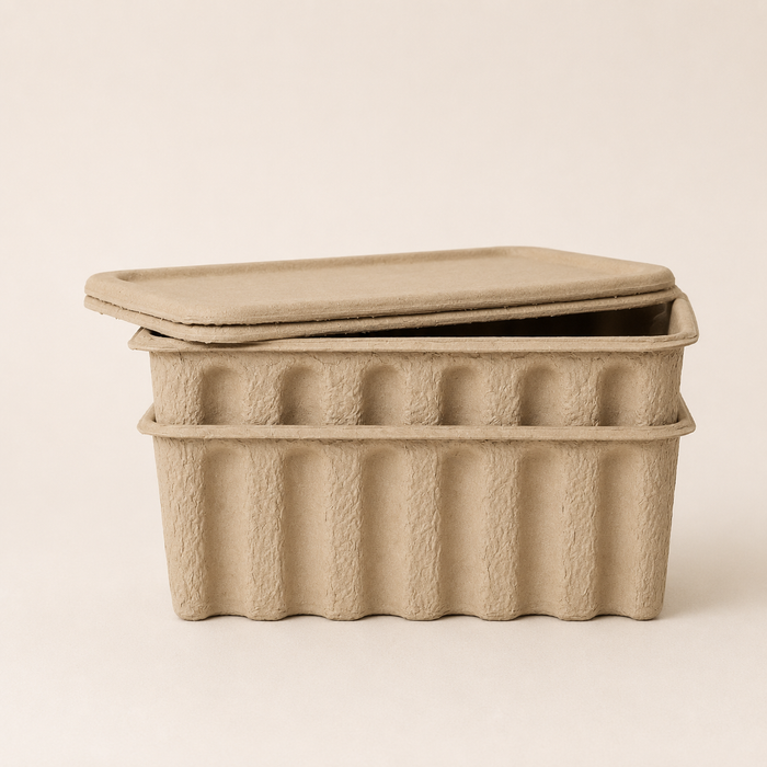 PAPER PULP BOX - LARGE - SET OF 2
