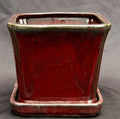 Parisian Red Ceramic Bonsai Pot-Square With Attached Humidity / Drip Tray -5.25 x 5.25 x 5.5